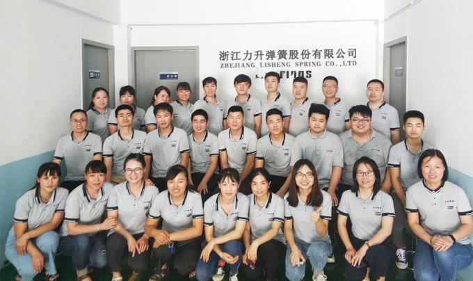 China Zhejiang Lisheng spring co.,ltd company profile